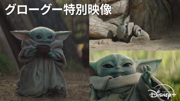 映画『スター・ウォーズ／マンダロリアン・アンド・グローグー』公式