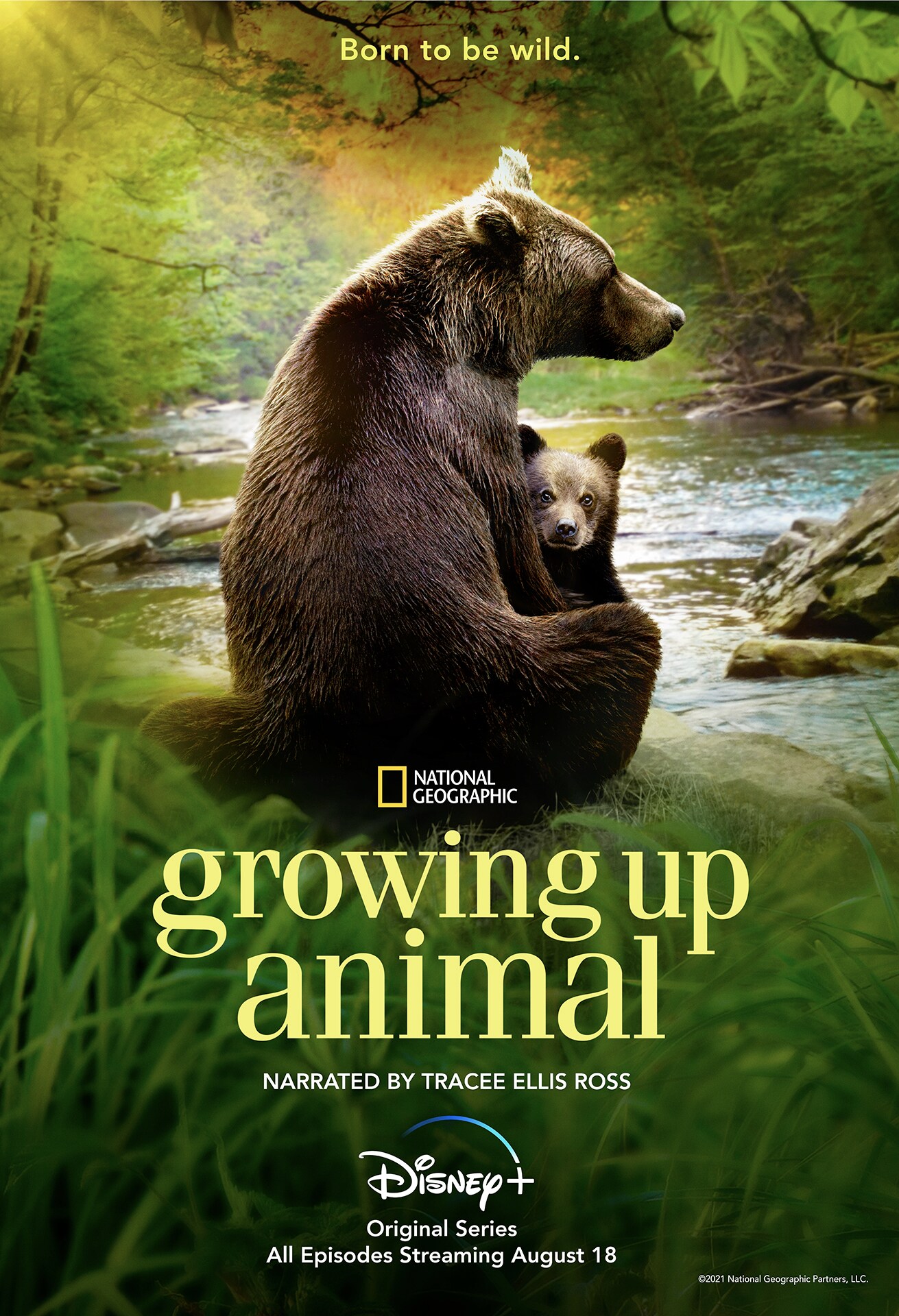 LOOK WHO'S EXPECTING! OFFICIAL TRAILER AND KEY ART FOR 'GROWING UP ANIMAL,'  THE NATIONAL GEOGRAPHIC ORIGINAL SERIES FOR DISNEY+, AVAILABLE NOW | UK  Press