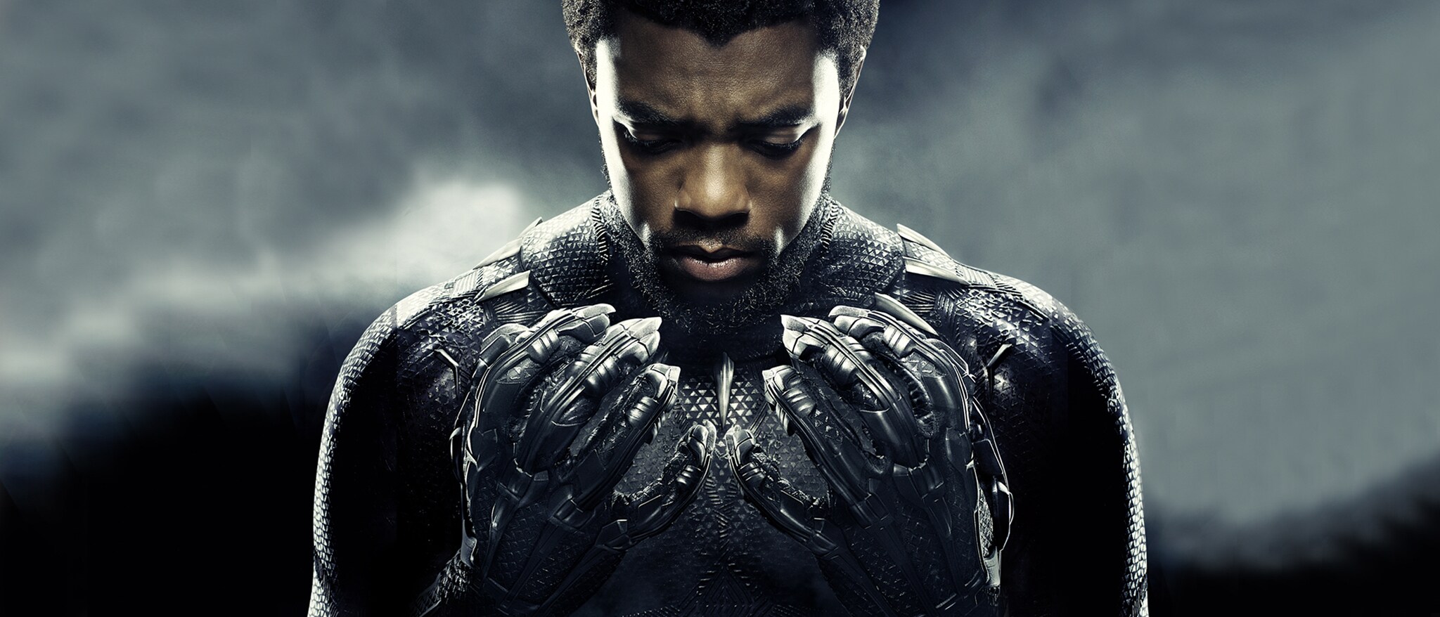 Black Panther Hero Streaming