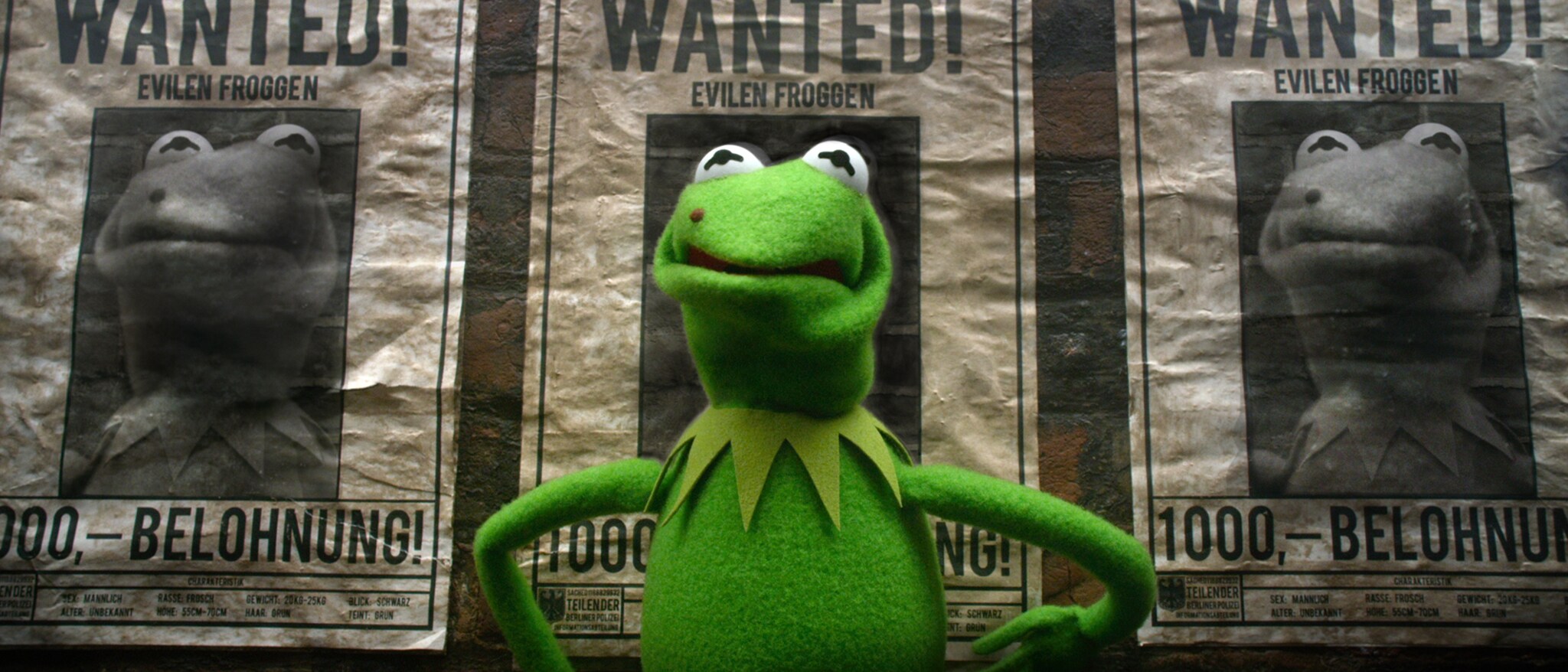 Muppets Most Wanted Hero