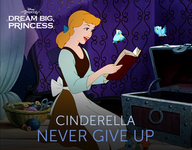 cinderella disney princess