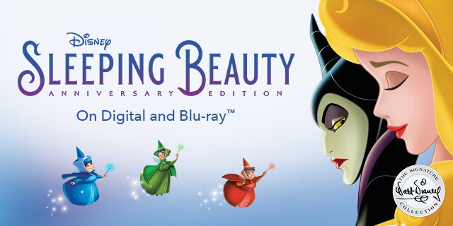 sleeping beauty movie in hindi cartoon