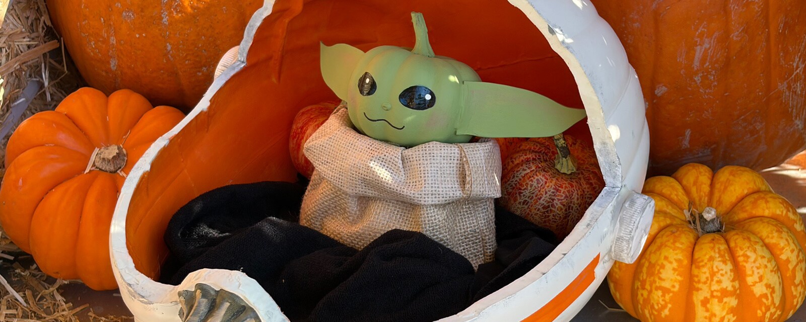 The Grogu Pumpkin Pram decoration for Halloween.