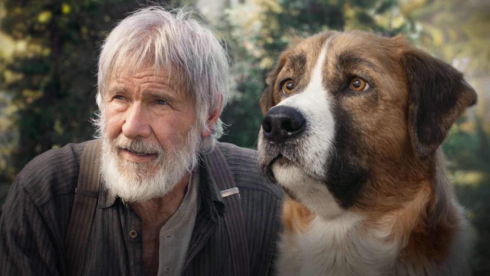 9 datos sobre Buck, el perro que protagoniza El Llamado Salvaje, la nueva película de Disney+