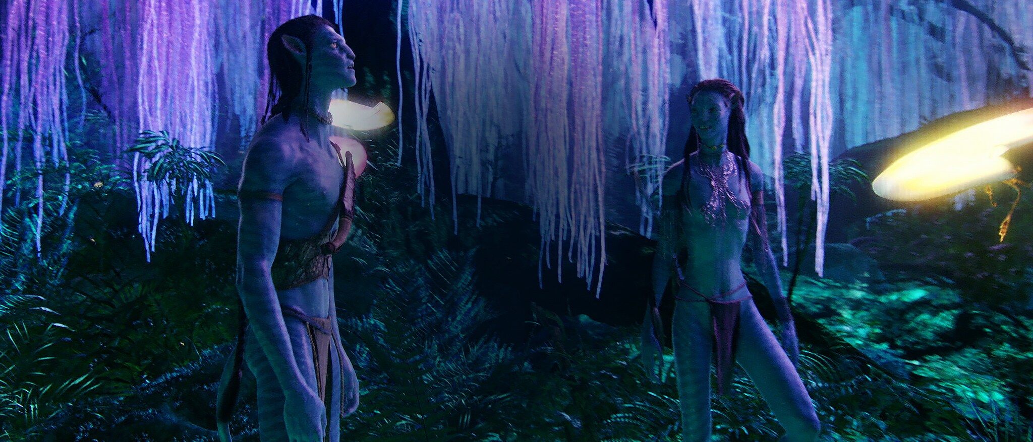 Avatar Avatar