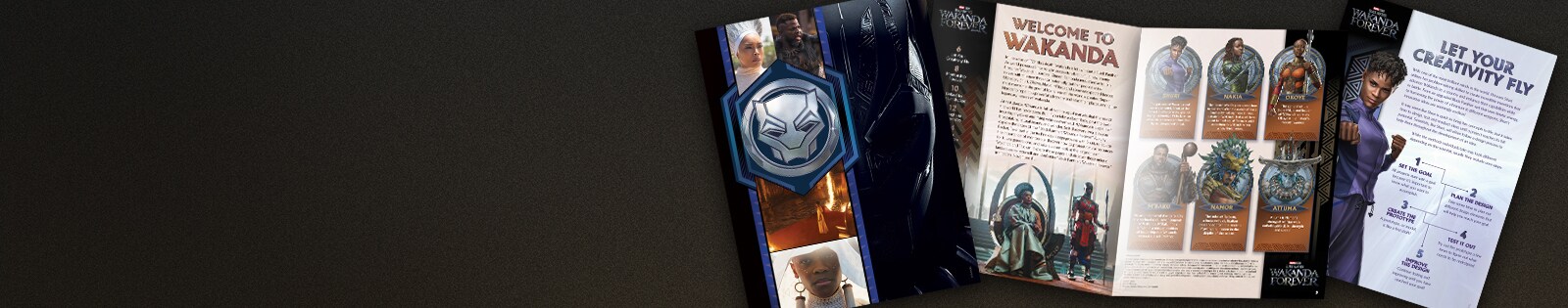 Black Panther: Wakanda Forever - EMEA Banner - Activity Packet