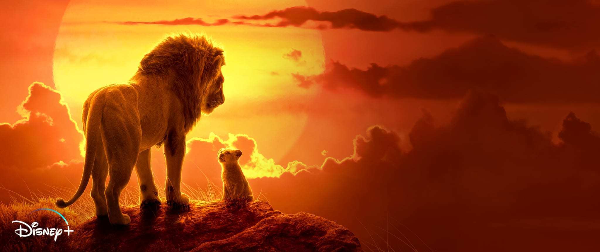 Le Roi Lion est maintenant disponible sur Disney+