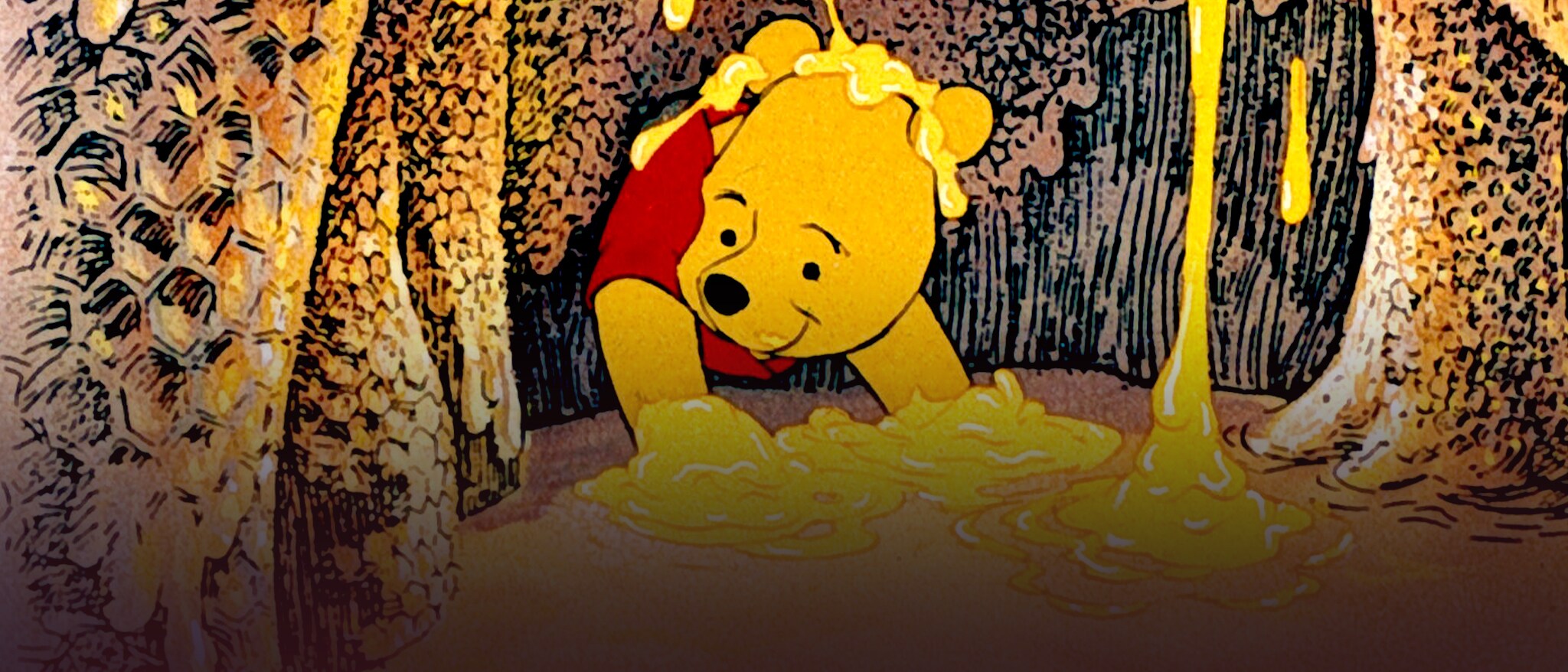 The Many Adventures of Winnie the Pooh Hero