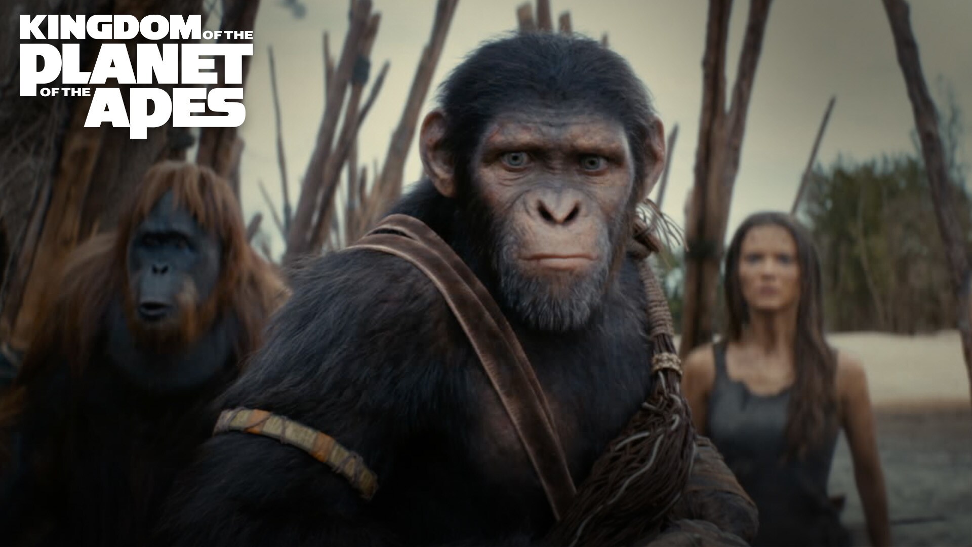 Kingdom of the Planet of the Apes I Hero