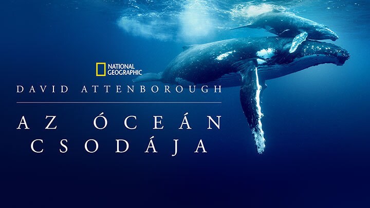 David Attenborough: Az óceán csodája