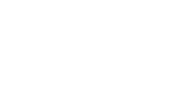 The Horse Whisperer