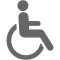 Accessibility Tab Icon