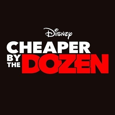 cheaper by the dozen movie poster