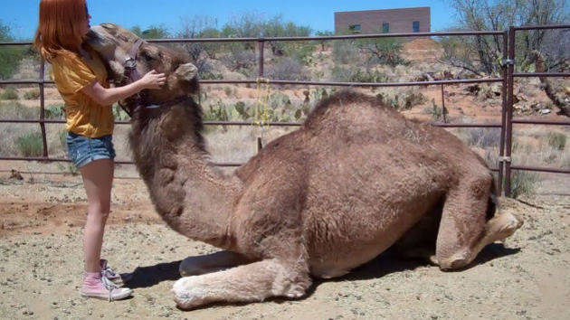 Me and My Camel | Disney Video