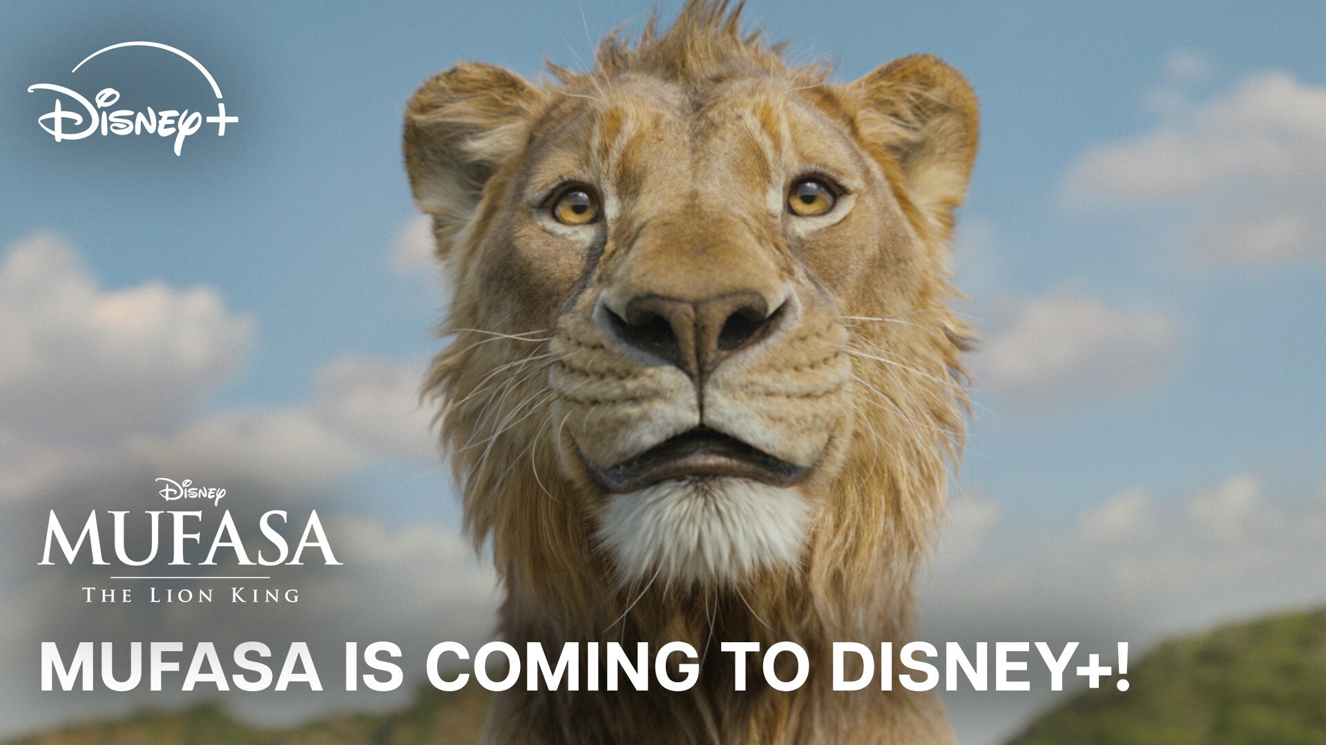 Mufasa: The Lion King | On Disney + March 26