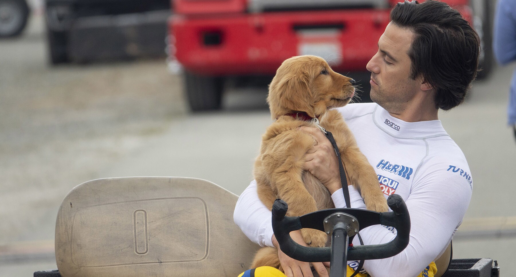 Denny (Milo Ventimiglia) and puppy Enzo in the movie "The Art of Racing in the Rain"