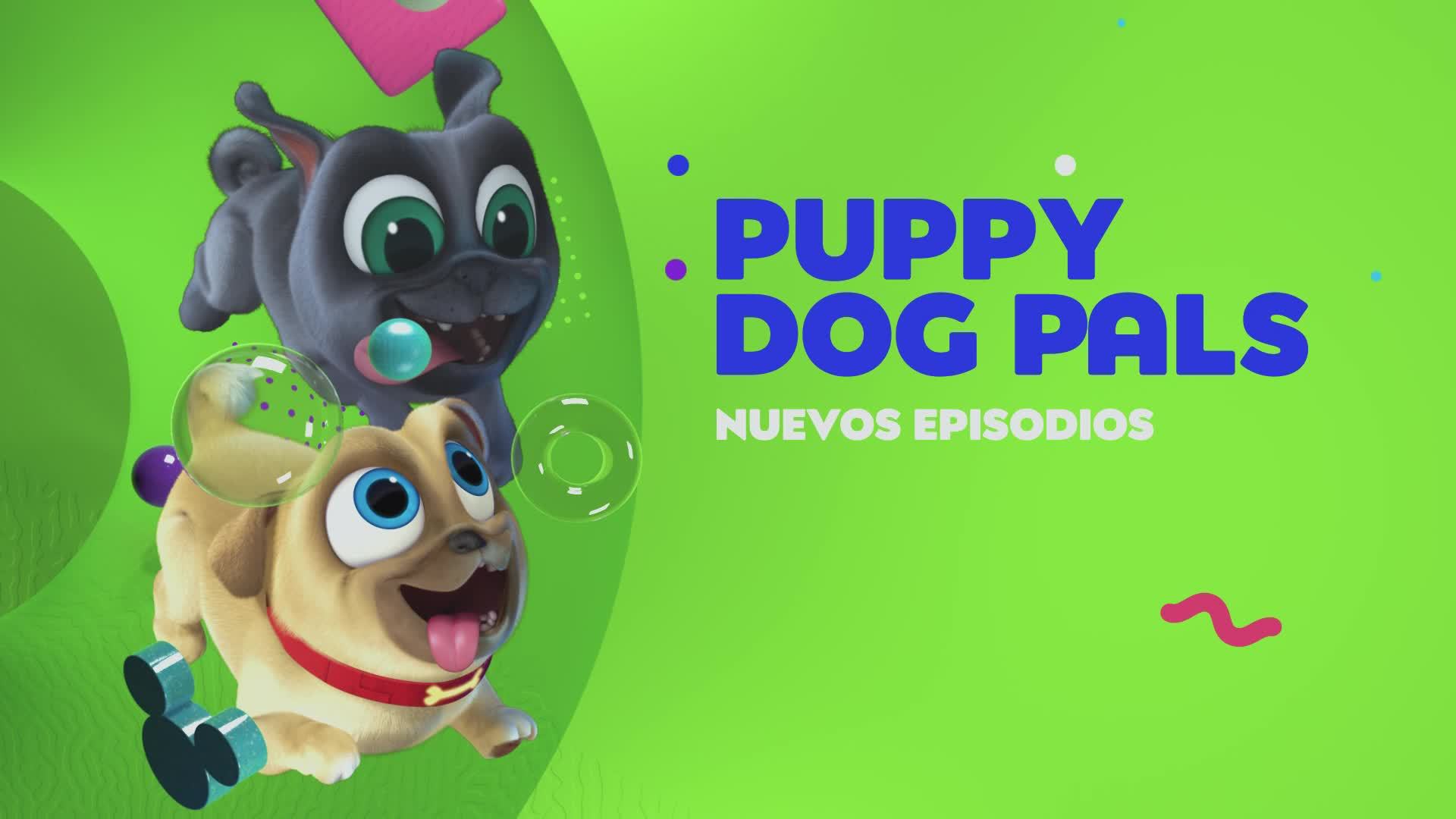 silbar izquierda Condimento Puppy Dog Pals - Nuevos Episodios | Disney Latino