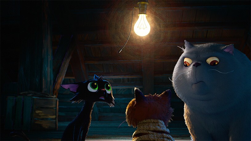 Gatto - Movie Trailer & Release Date | Disney