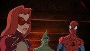 Agent Web