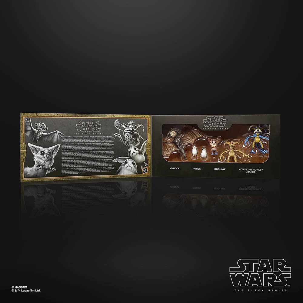 STAR WARS: THE BLACK SERIES 6-INCH GALACTIC CREATURES TOY ACTION Package