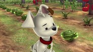 Darby The Plant Sitter/ Pooh's Nightingale
