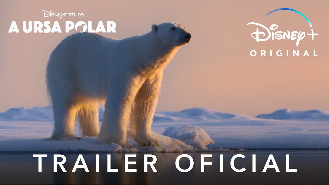 A Ursa Polar | Trailer Oficial Legendado | Disney+