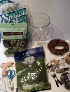 Dagobah Terrarium Supplies