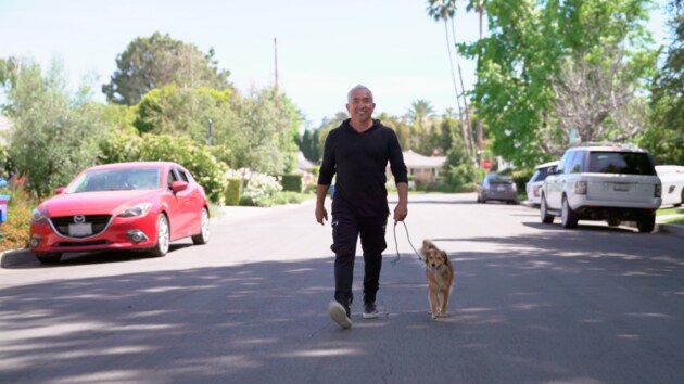 How to Walk with Your Dog