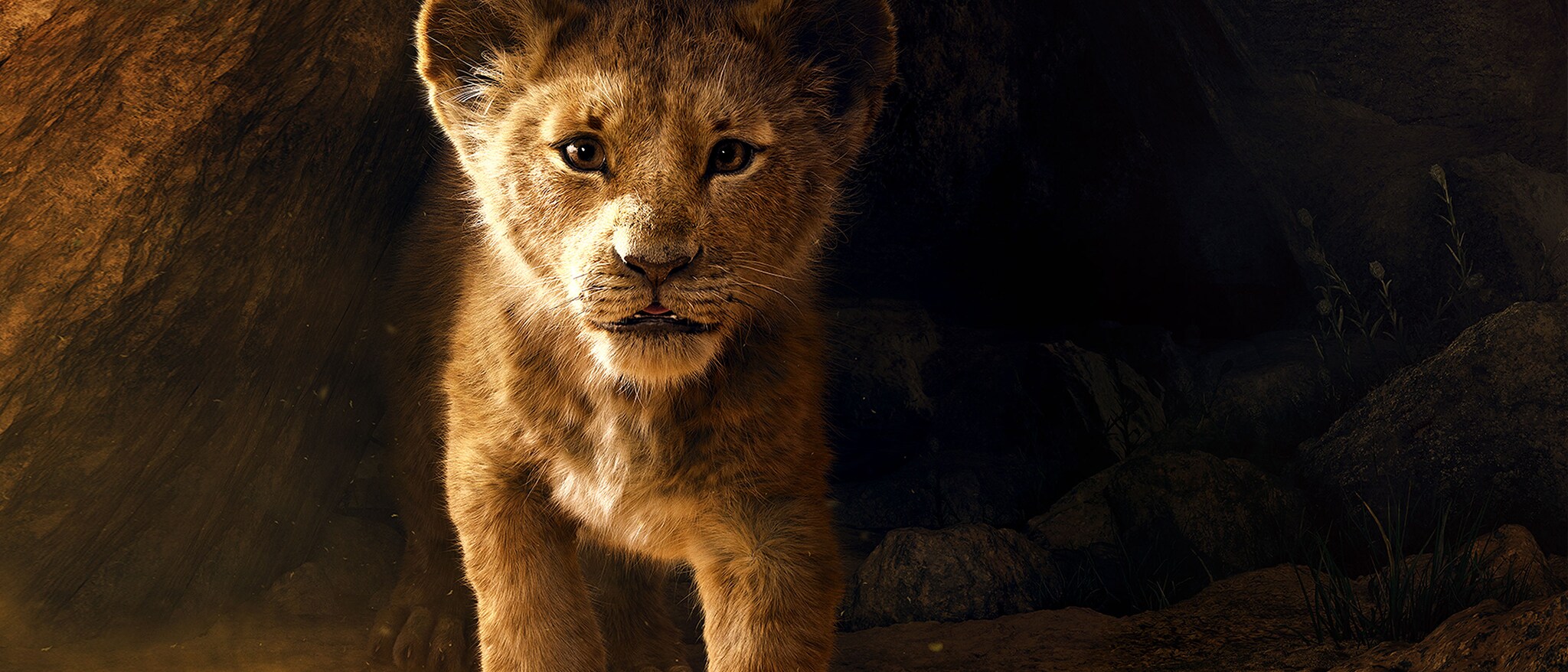 Mufasa Disney's Highlyanticipated 'Mufasa The Lion King' To Hit The