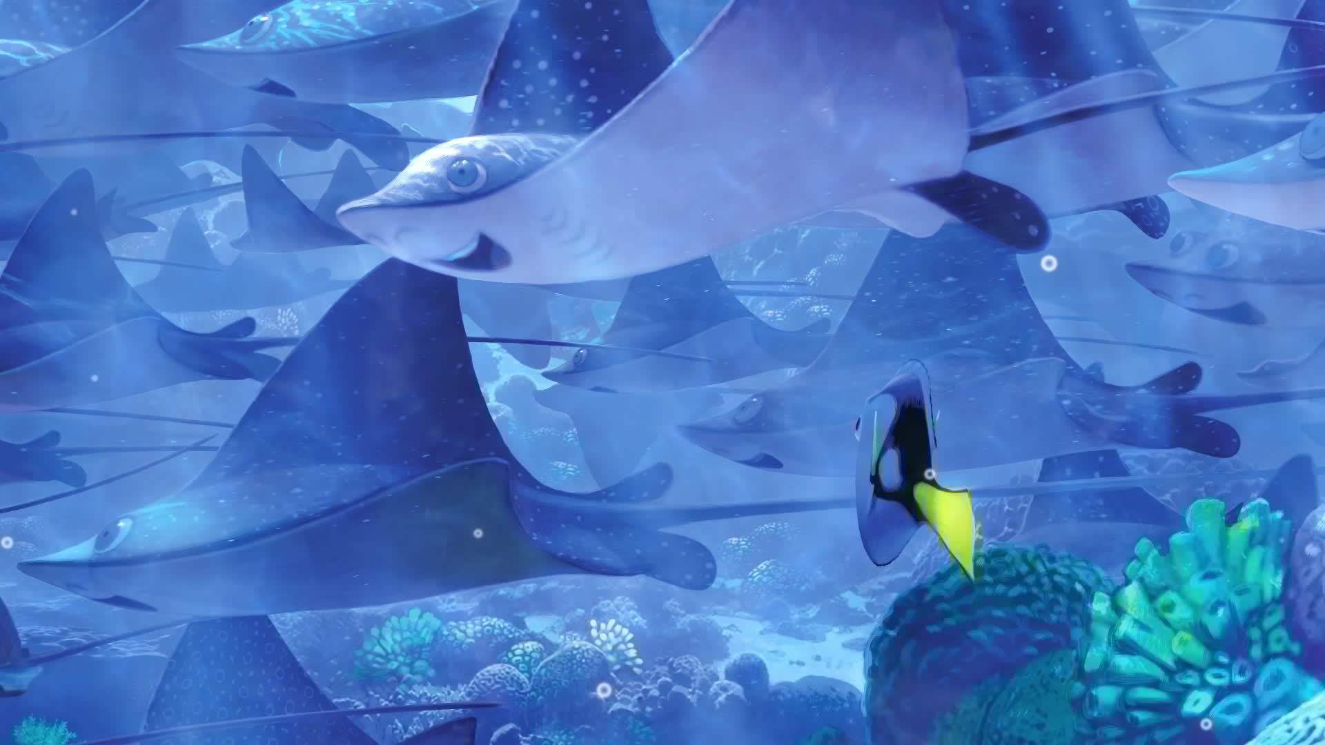Finding Nemo Ride The Wave Quote Finding Nemo | Disney Video