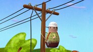 Happy Flappy Birthday / The Cuckoo County Caw-Caw Contest