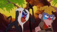 Unlucky in Lesotho / Rafiki's Apprentice