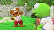 Bunsen Knows All / Doctor Fozzie