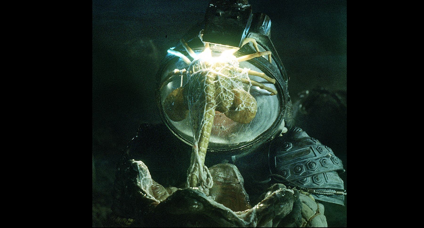 Face Hugger Alien attached to a helmet in the film "Alien" 