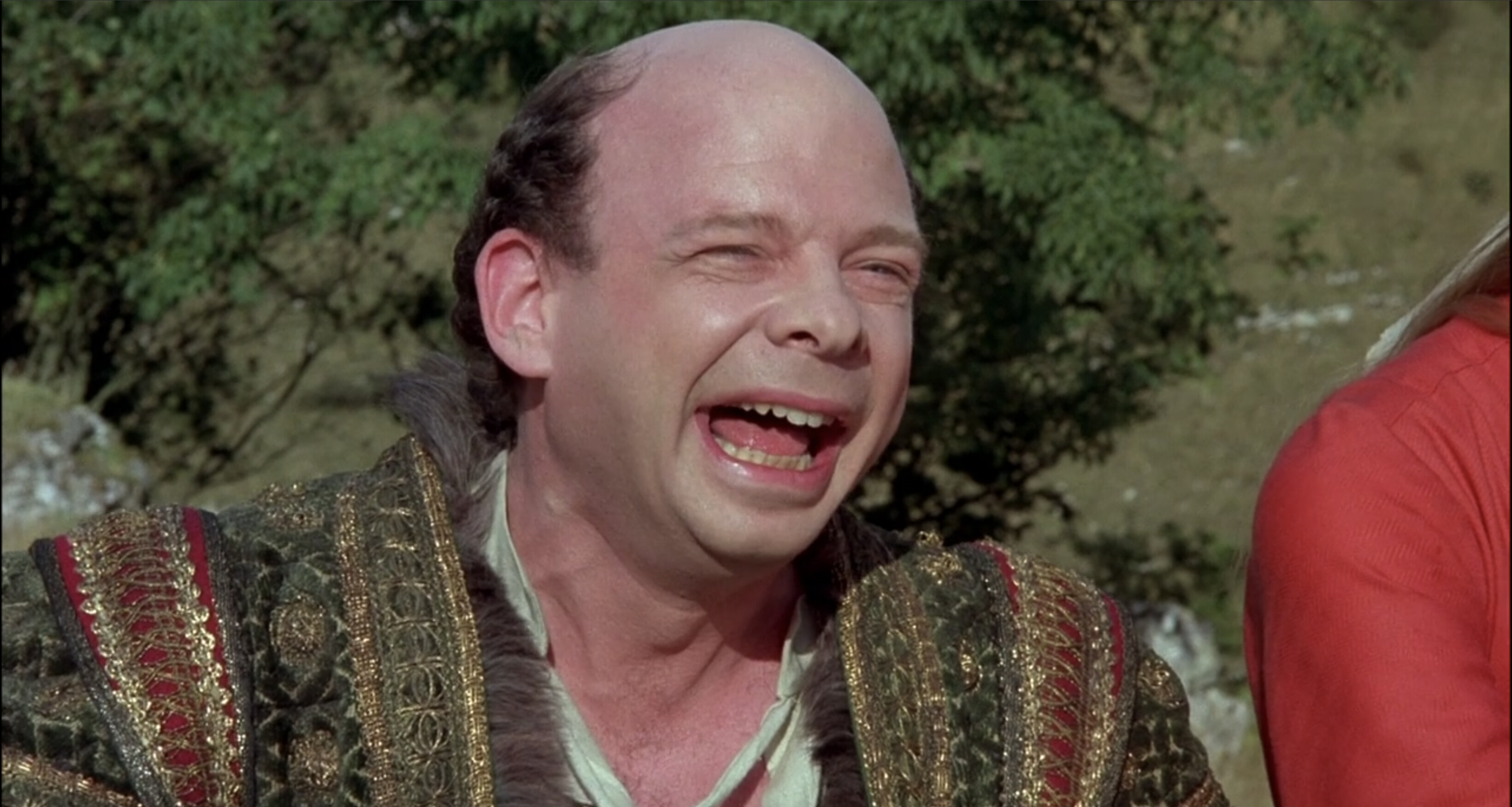 princess bride characters billy crystal