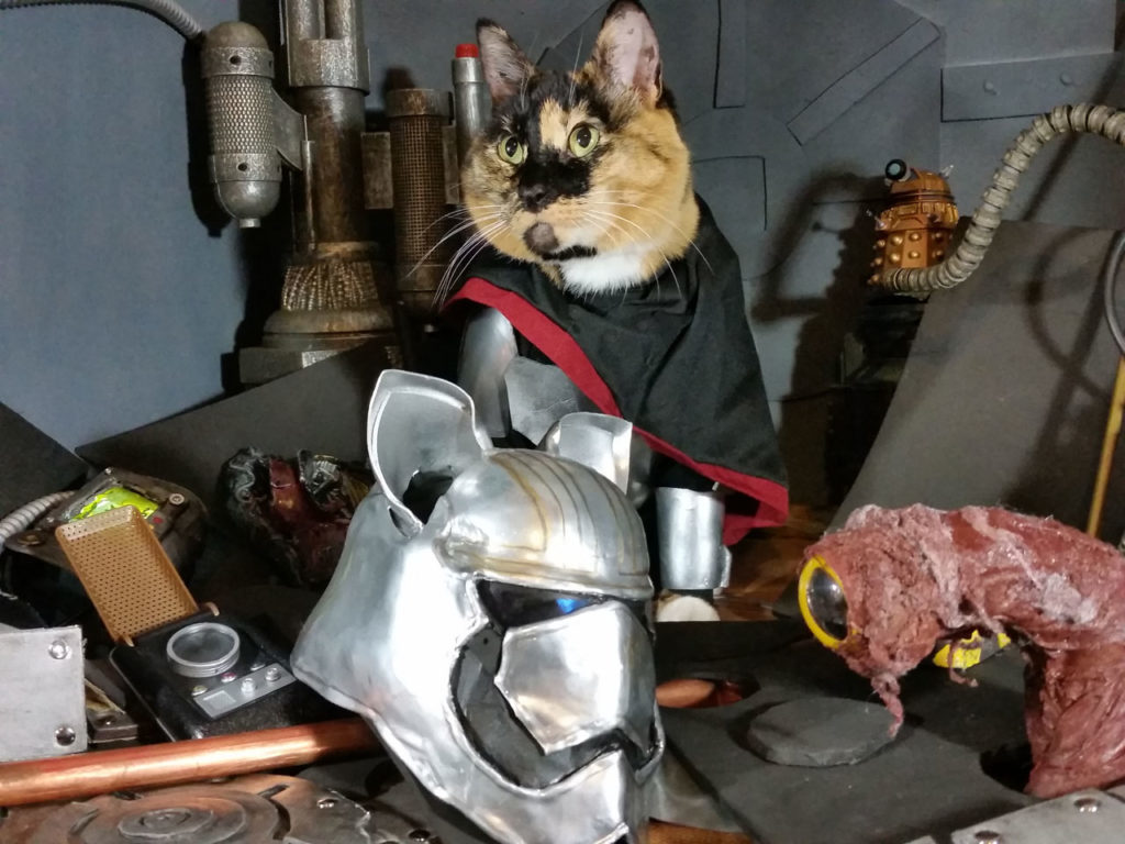 star wars cat costumes