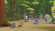 Safari: Monkey Business