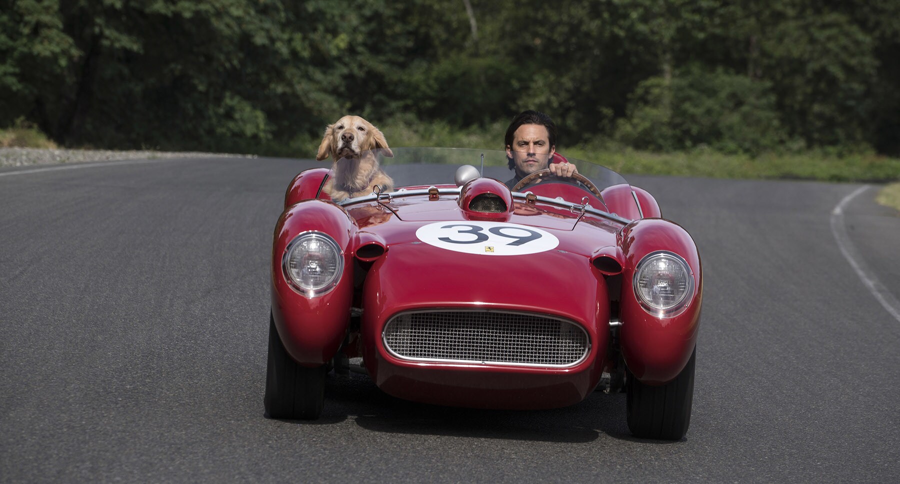 Denny (Milo Ventimiglia) and dog Enzo driving in a car in the movie "The Art of Racing in the Rain"