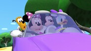 Secret Spy Daisy