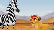 The Zebra Mastermind