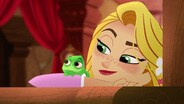 Pascal's Story
