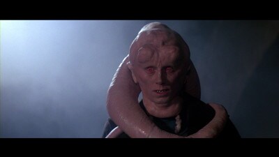 Bib Fortuna