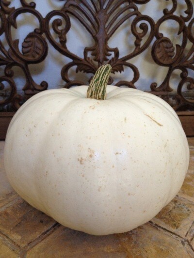 White Pumpkin