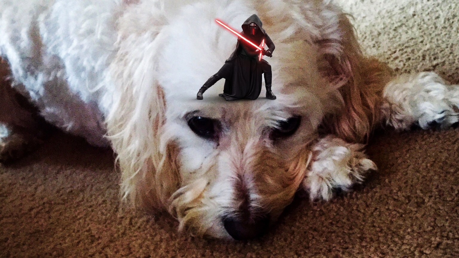 Take a Photo with Mini Kylo Ren: Stickers Arrive on the Star Wars App