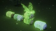 Firefly Parade