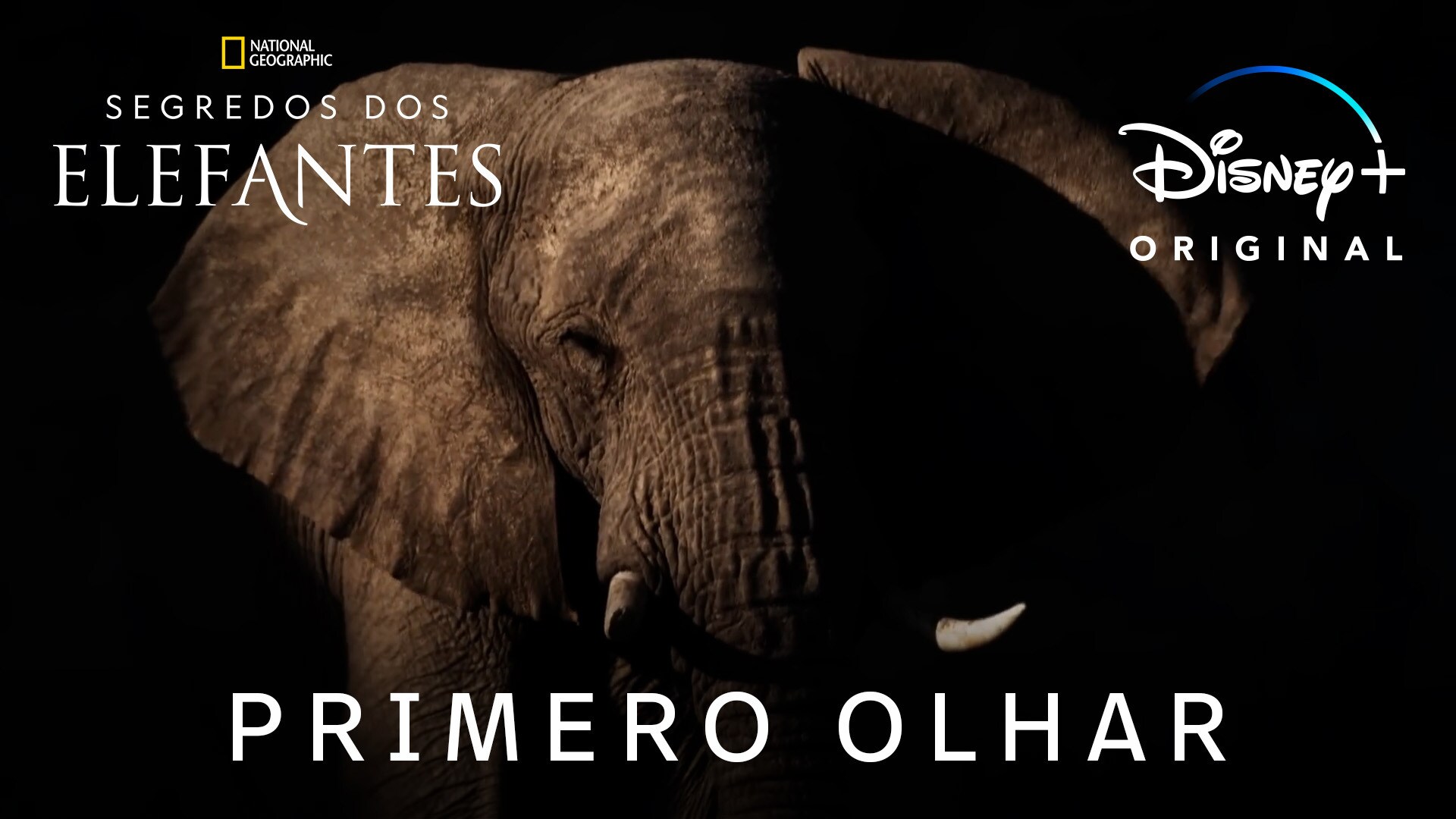 'Segredos dos Elefantes' | Primeiro olhar, narrada por Natalie Portman | Disney+