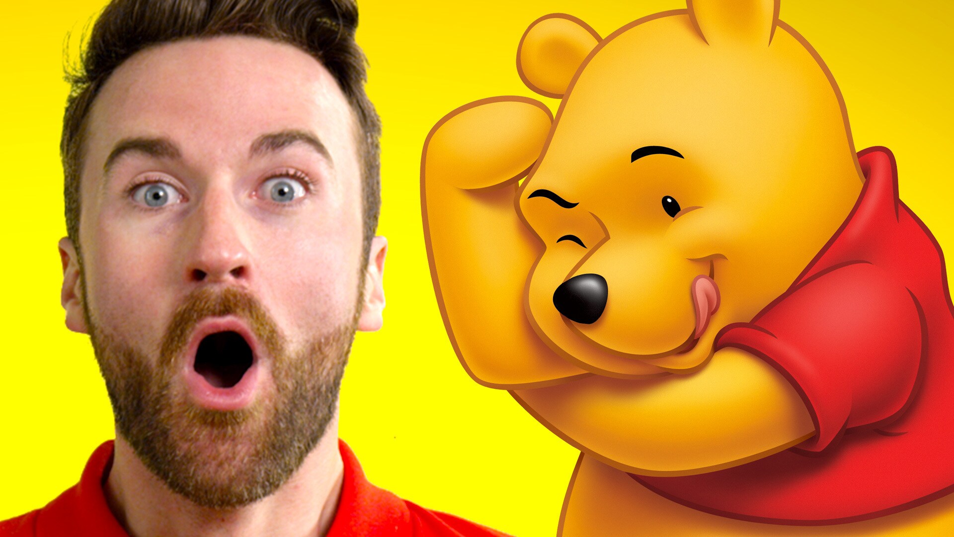 Kanga Roo Winnie The Pooh