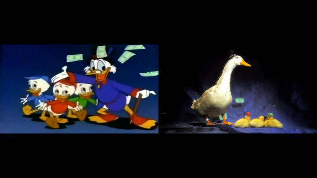 DuckTales with Real Ducks Side by Side Comparison