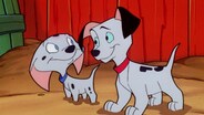 Citizen Canine