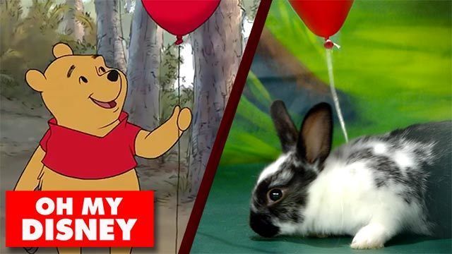 Disney Bunny Theater | Oh My Disney